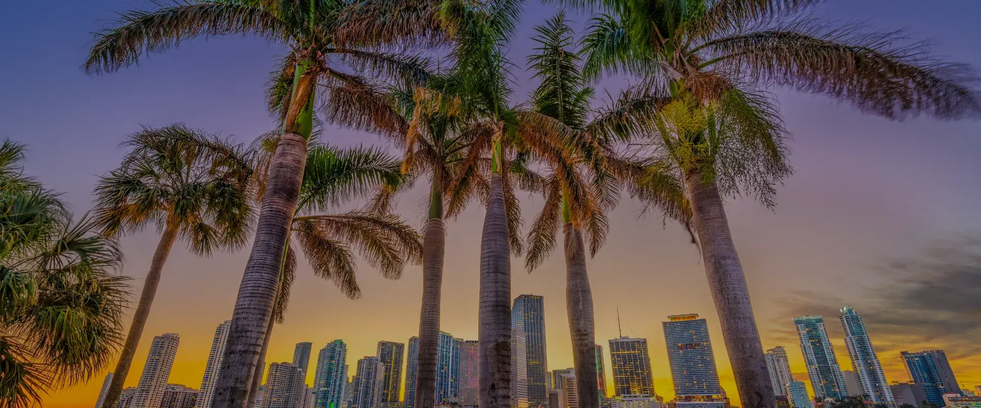 Miami-ciudad